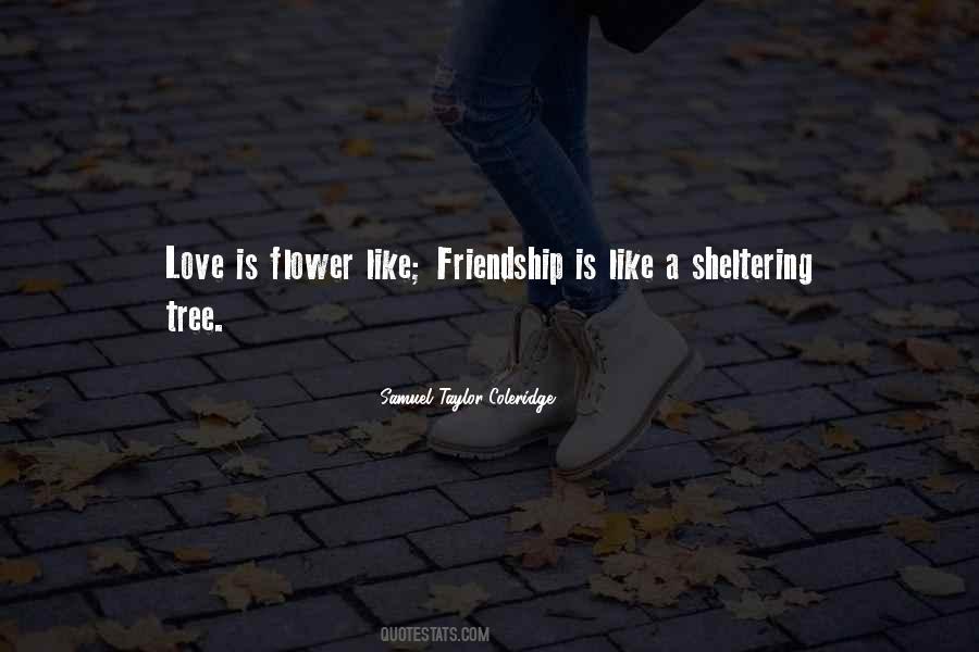 Friendship Is Like Quotes #1109393