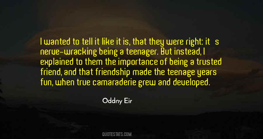 Friendship Is Like Quotes #637180