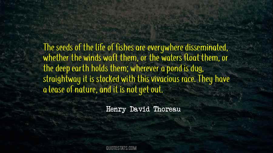 Life Is Everywhere Quotes #191985