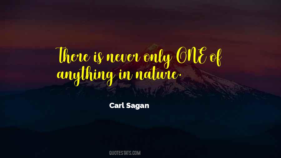 Sunday Sauce Quotes #1617892