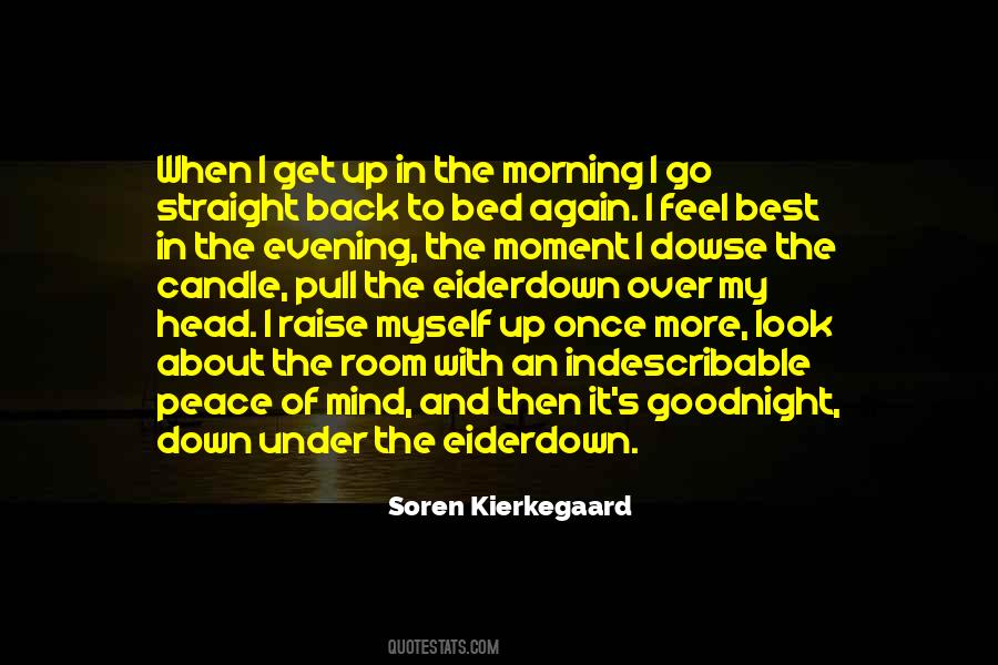 Peace In My Mind Quotes #1497690