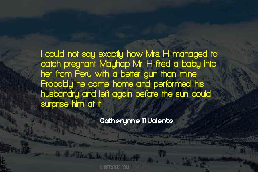 Catch The Sun Quotes #1698947