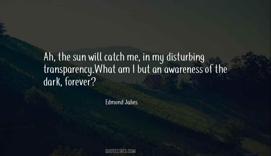Catch The Sun Quotes #1803618
