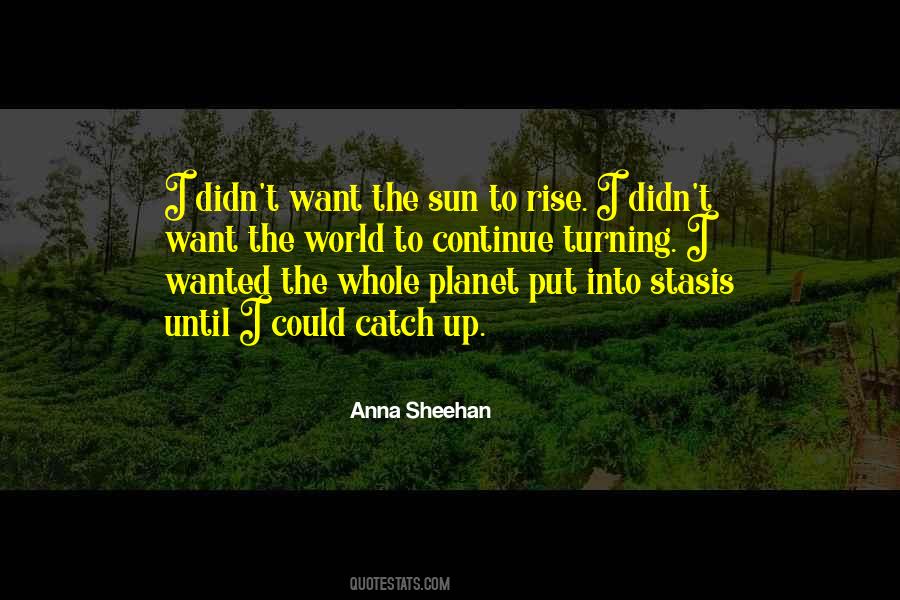 Catch The Sun Quotes #58357