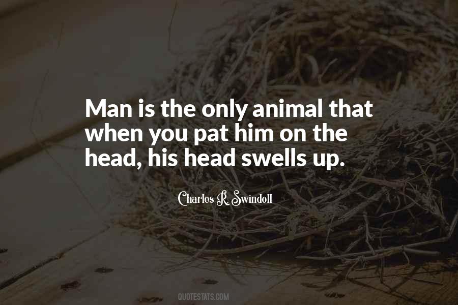 Friendship Quarrels Quotes #824288