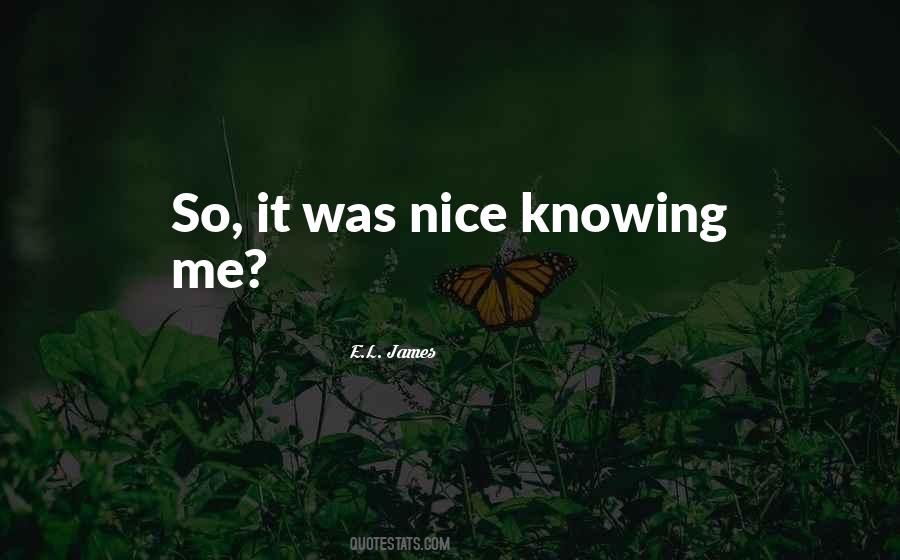 Nice Knowing You Quotes #727511