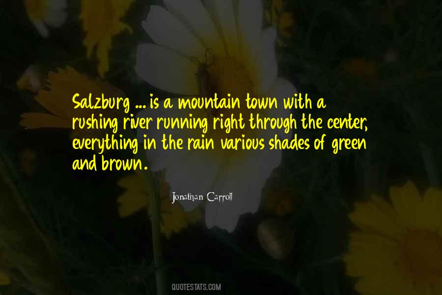 Shades Of Brown Quotes #1535649
