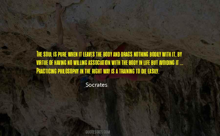 Life Is A Virtue Quotes #813808