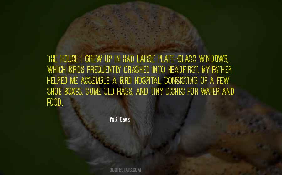 Plate Glass Quotes #1707743
