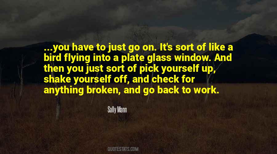 Plate Glass Quotes #249867