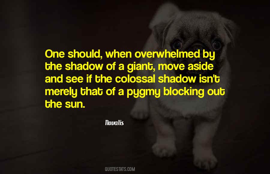 Sun And Shadow Quotes #1010100