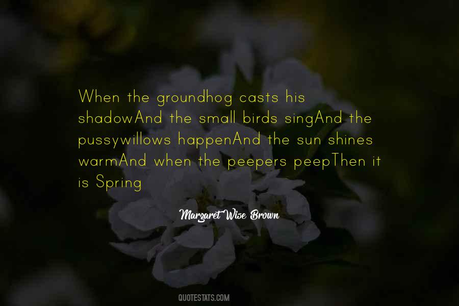 Sun And Shadow Quotes #1054878