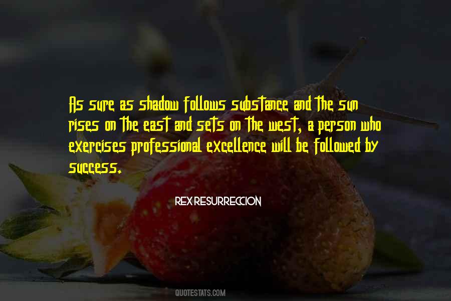Sun And Shadow Quotes #1635302