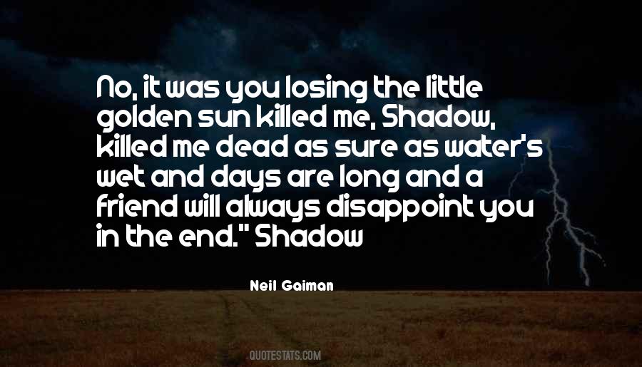 Sun And Shadow Quotes #1842161