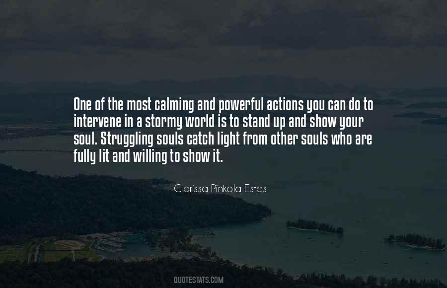 Catch The Light Quotes #1455313