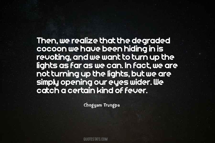 Catch The Light Quotes #158699