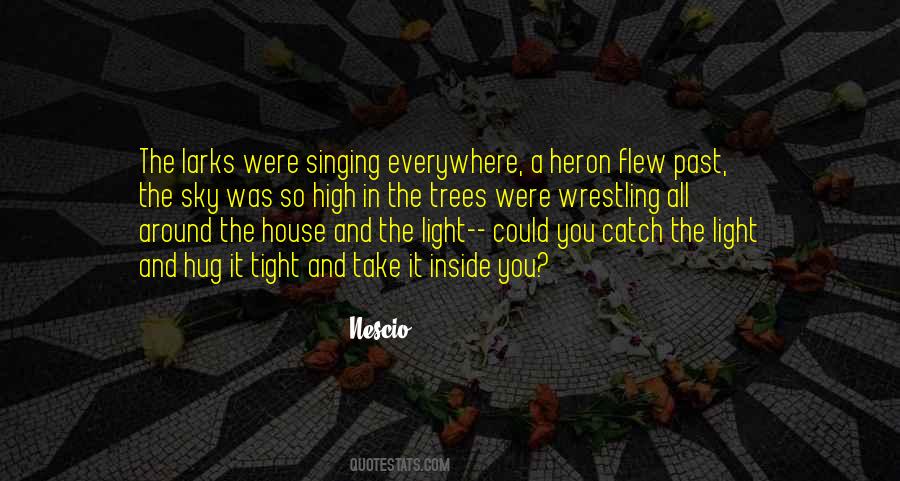 Catch The Light Quotes #387440