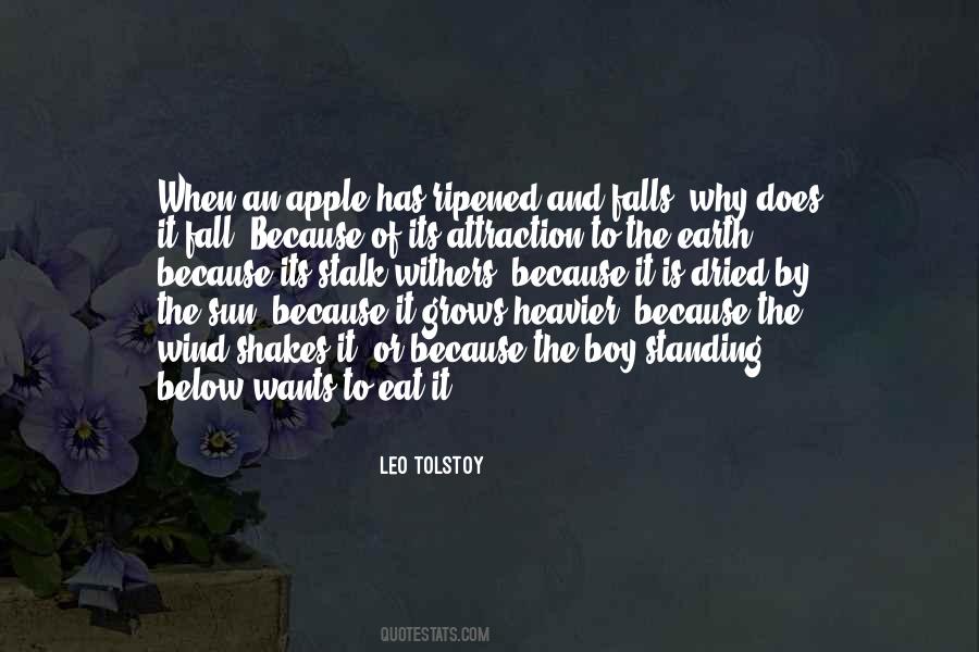 Boy Wants Quotes #105235