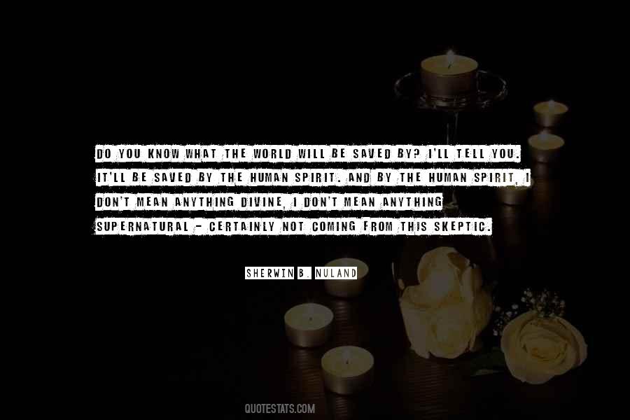 Mean Spirit Quotes #1156365