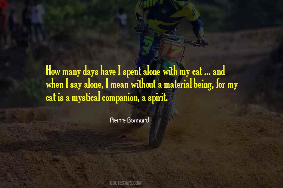 Mean Spirit Quotes #1296050