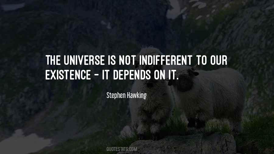 Universe Is Indifferent Quotes #1300130