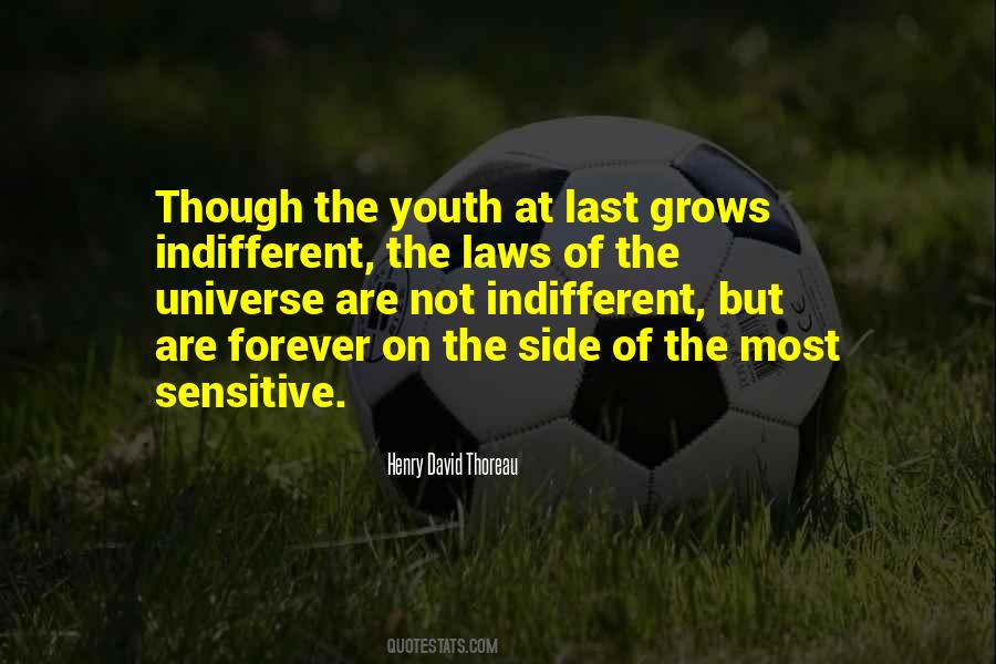 Universe Is Indifferent Quotes #387161