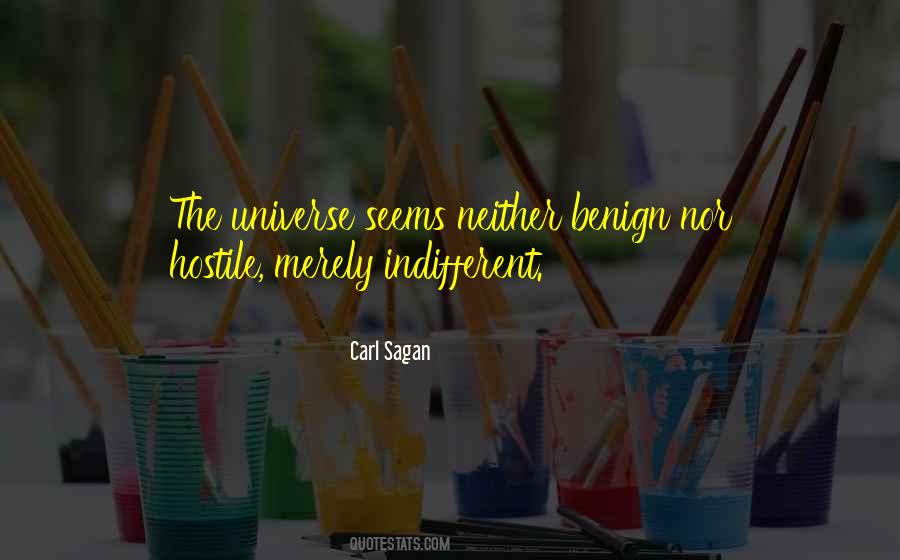 Universe Is Indifferent Quotes #410985