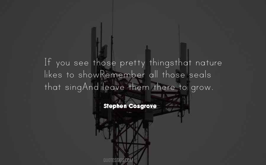 Beauty Pretty Quotes #1000304
