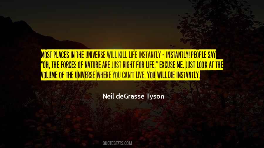 The Universe In Me Quotes #1743413