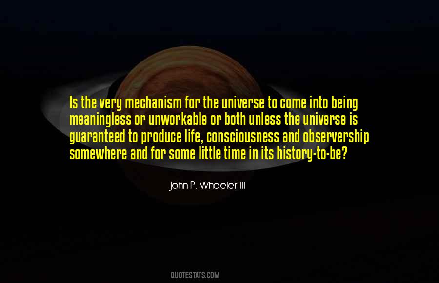 The Universe In Me Quotes #321955