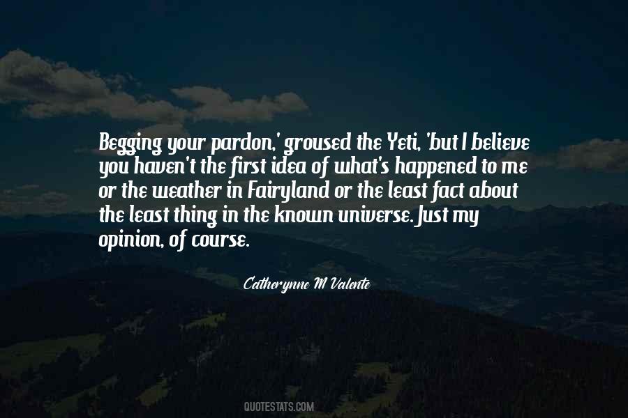 The Universe In Me Quotes #918360