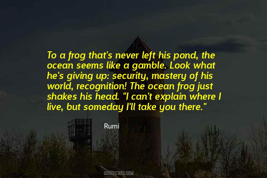 Frog In The Well Quotes #174527