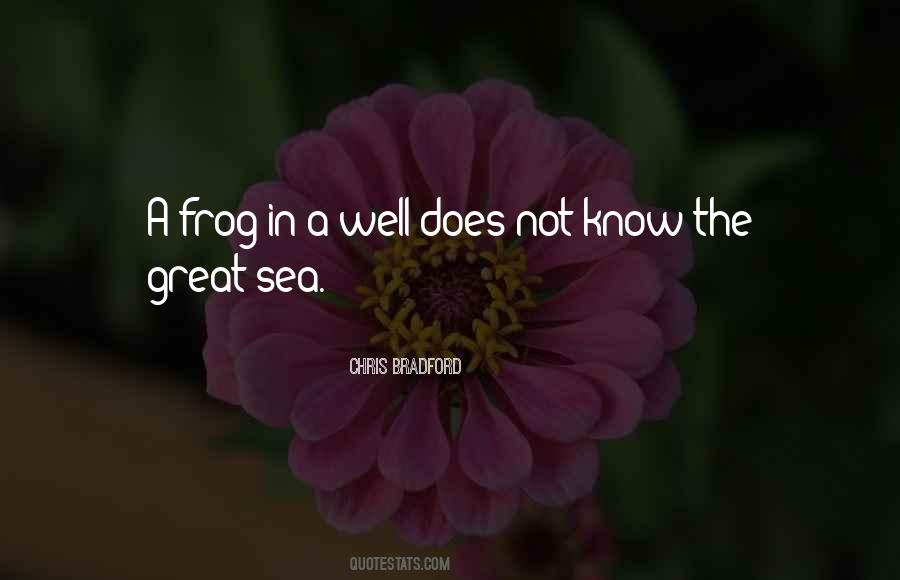 Frog In The Well Quotes #1848974