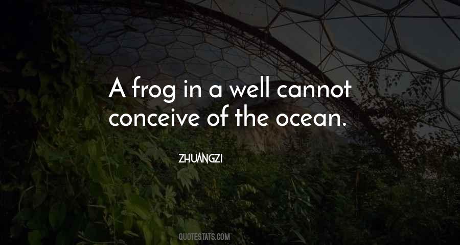 Frog In The Well Quotes #216710