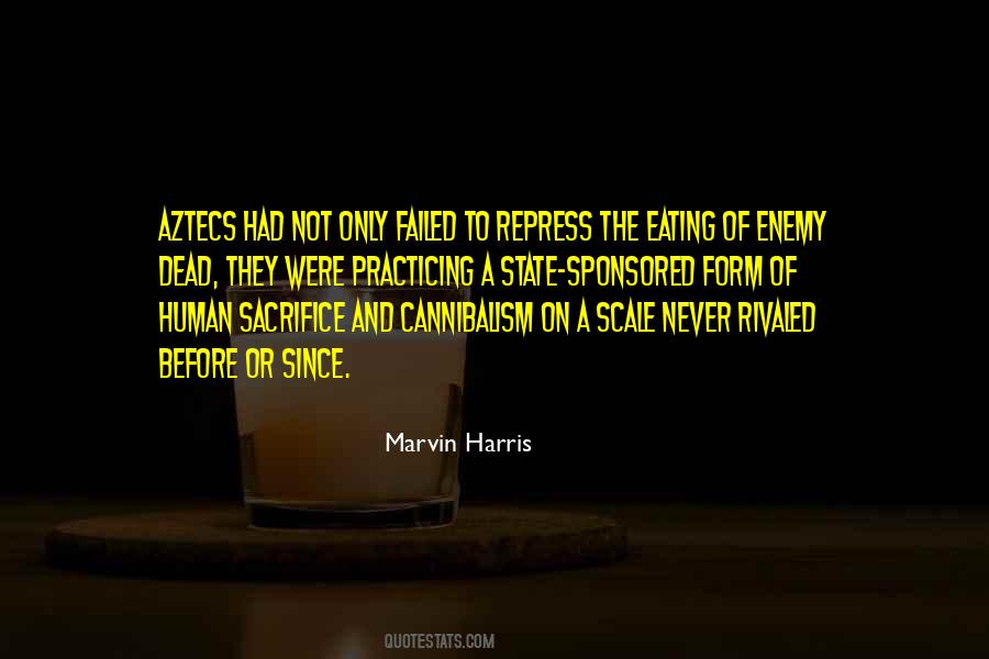 A Failed State Quotes #952335