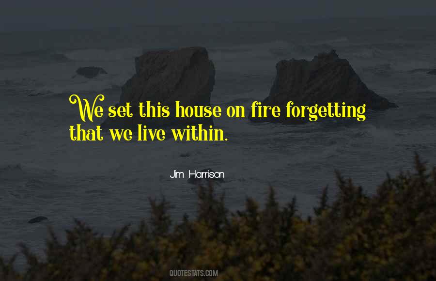 When Your House Is On Fire Quotes #273633