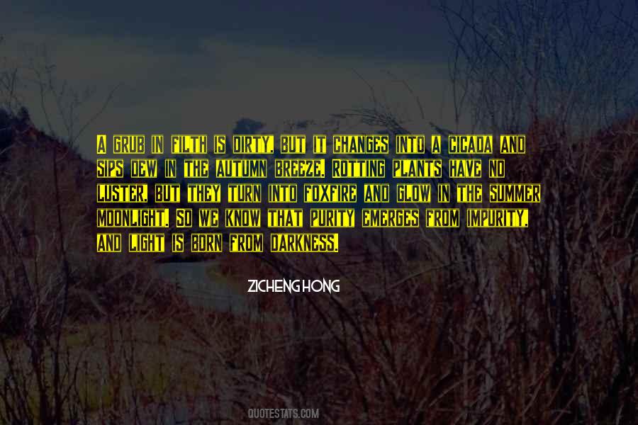 From Darkness Into Light Quotes #1153686