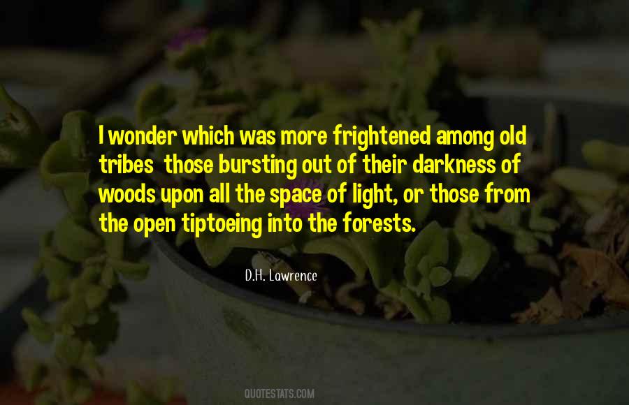 From Darkness Into Light Quotes #1829700