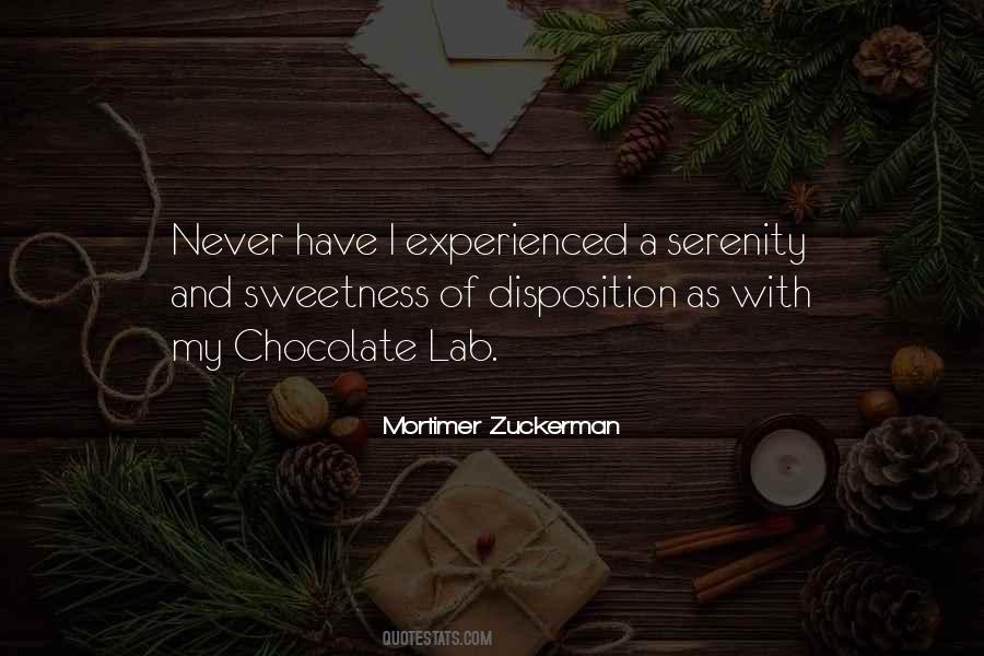 My Chocolate Quotes #698074