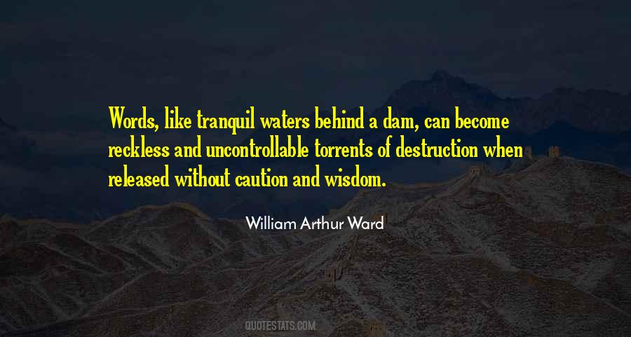 Become Water Quotes #1096273