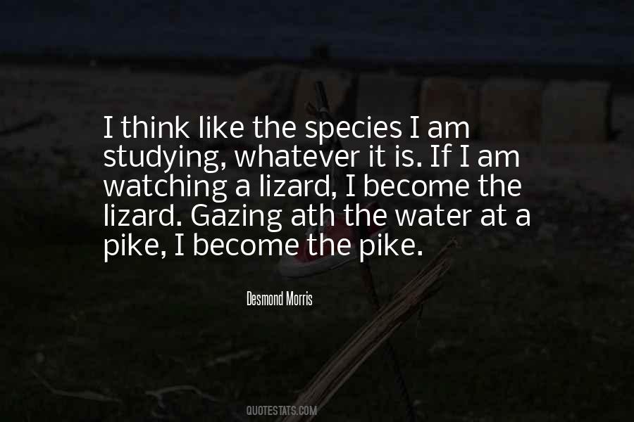Become Water Quotes #1517900