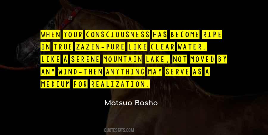 Become Water Quotes #398161