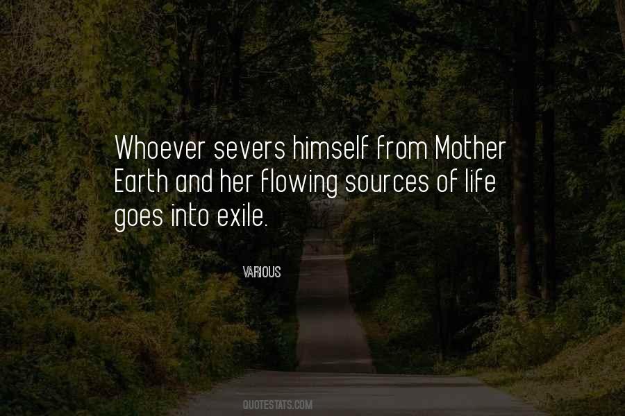 From Mother Quotes #493638