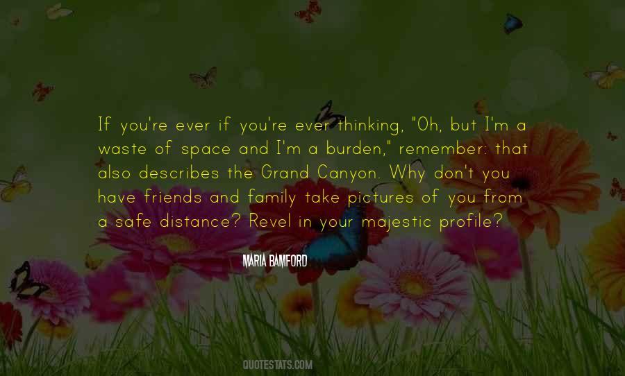 From The Distance Quotes #104774