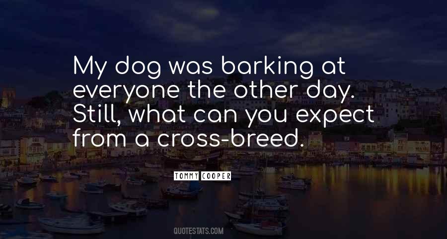 From The Dog Quotes #233208