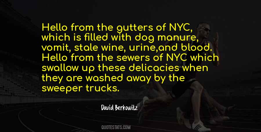 From The Dog Quotes #4009