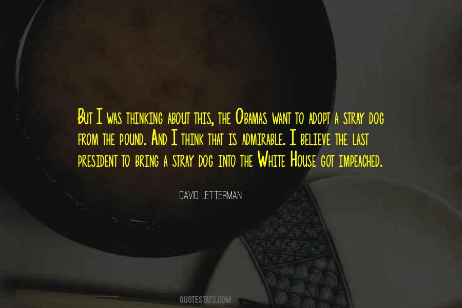 From The Dog Quotes #53459