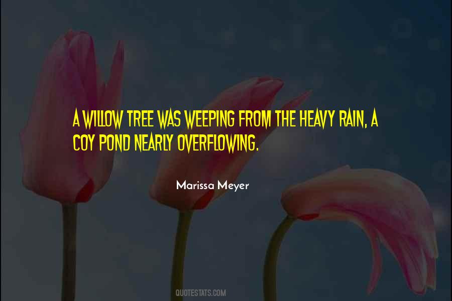 From The Rain Quotes #15473