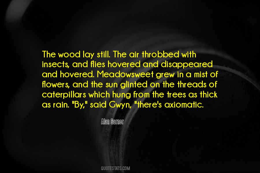 From The Rain Quotes #264535