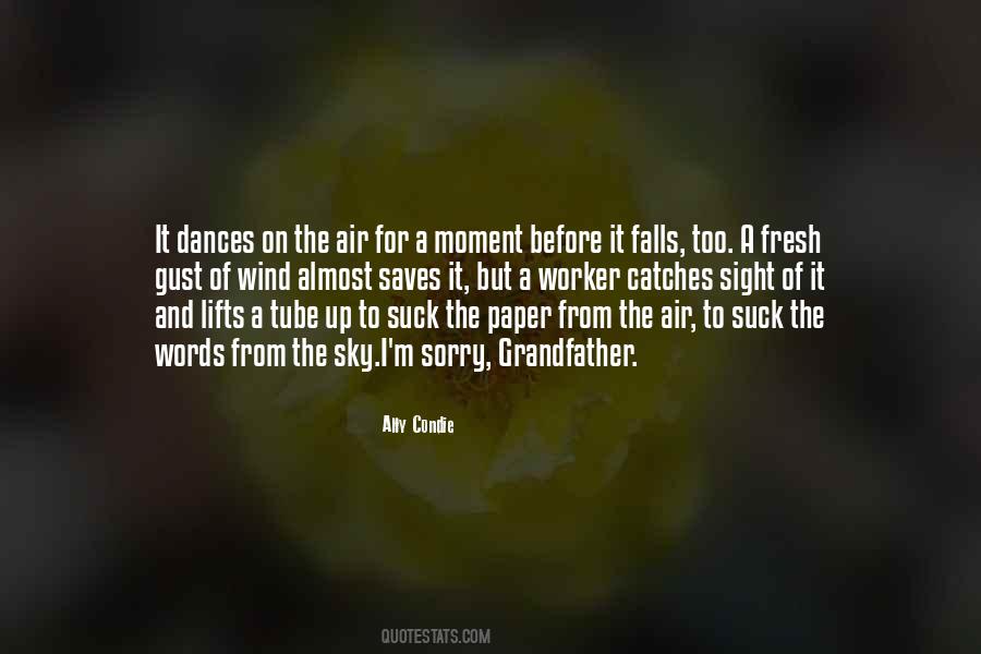 From The Sky Quotes #1107613